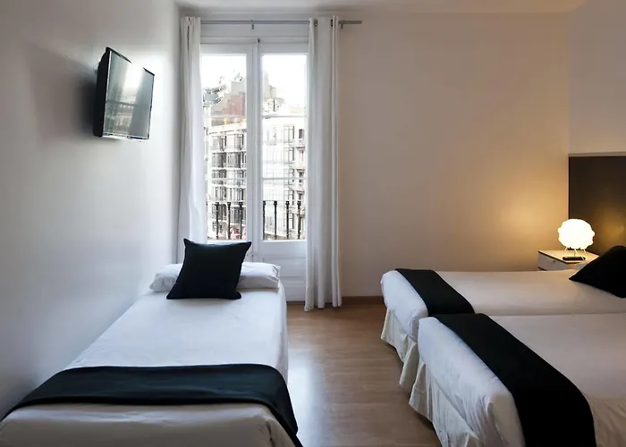 Super Balmes Guest House